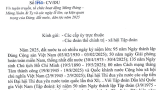 Tuyên truyền tổ chức hoạt động Mừng Đảng - Mừng Xuân Ất Tỵ và các ngày lễ lớn
